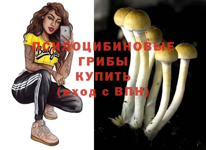 Галлюциногенные грибы MAGIC MUSHROOMS  shop клад  Лениногорск 